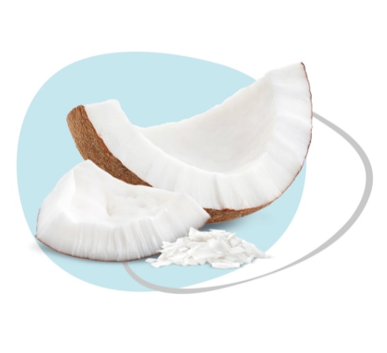 Coco Branco 